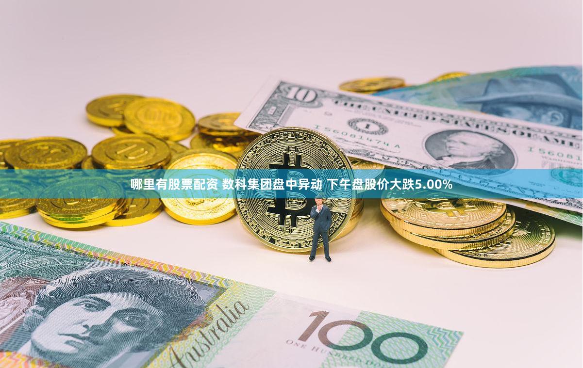 哪里有股票配资 数科集团盘中异动 下午盘股价大跌5.00%