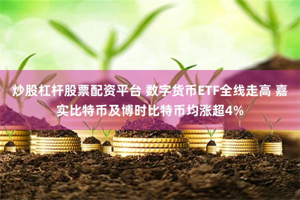 炒股杠杆股票配资平台 数字货币ETF全线走高 嘉实比特币及博时比特币均涨超4%