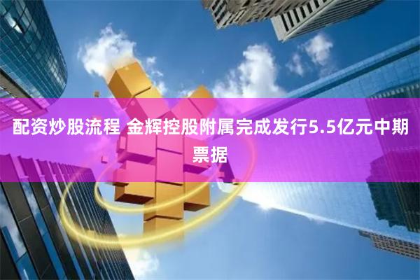 配资炒股流程 金辉控股附属完成发行5.5亿元中期票据