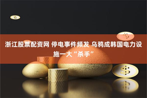 浙江股票配资网 停电事件频发 乌鸦成韩国电力设施一大“杀手”