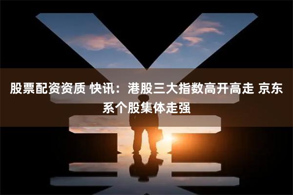 股票配资资质 快讯：港股三大指数高开高走 京东系个股集体走强
