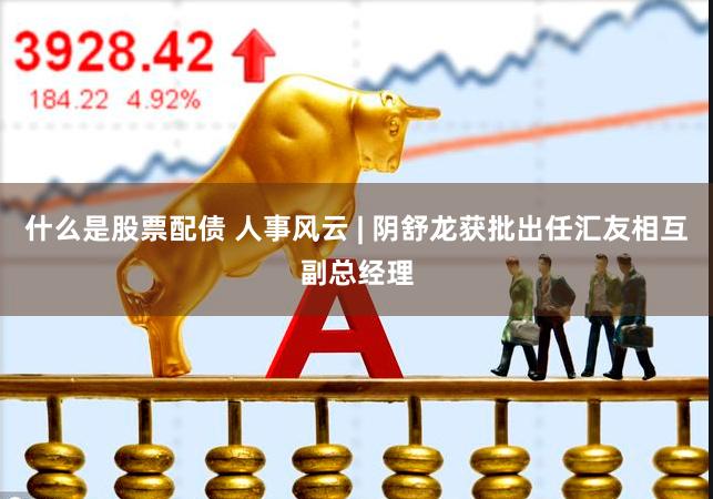 什么是股票配债 人事风云 | 阴舒龙获批出任汇友相互副总经理